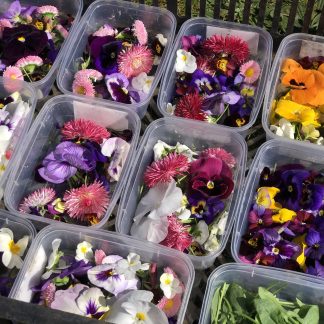 Mix fleurs