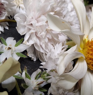Fleurs blanches
